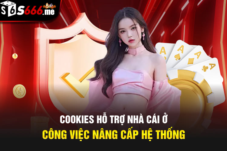 Cookies hỗ trợ nhà cái ở công việc nâng cấp hệ thống