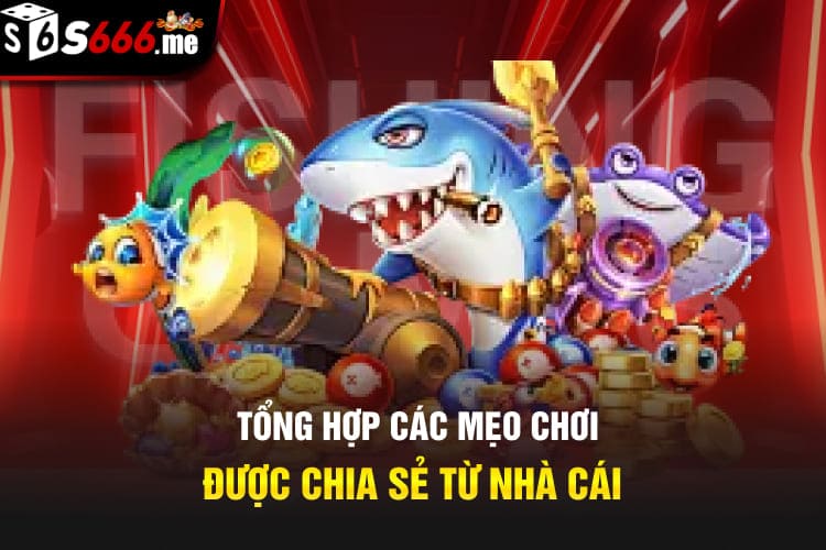 Tổng hợp các mẹo chơi được chia sẻ từ nhà cái