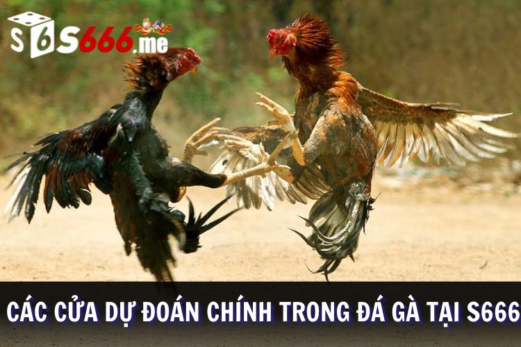 Các cửa dự đoán thi đấu chiến kê tại S666