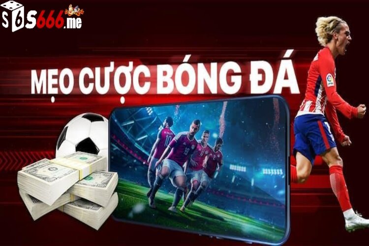 Phương pháp soi kèo dễ áp dụng cho hội viên S666