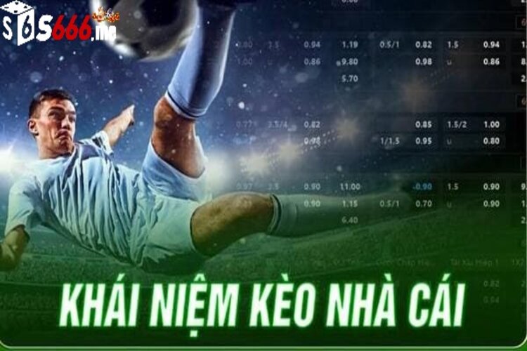 Tìm hiểu về kèo nhà cái là gì ?