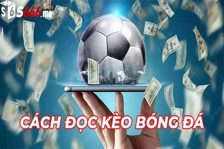 Yếu tố cần nắm để soi kèo bóng đá hiệu quả